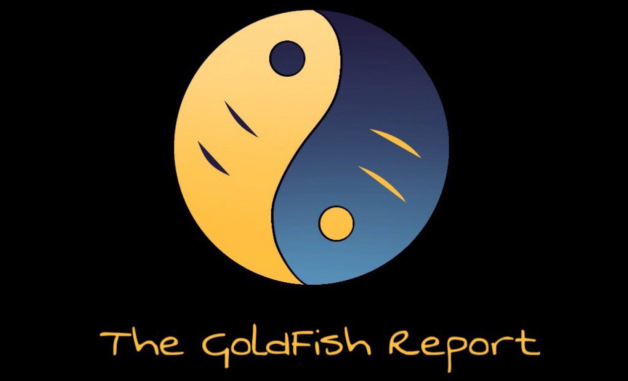 ascensão relatório goldfish com cobra