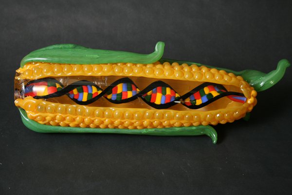 Alimentos geneticamente modificados